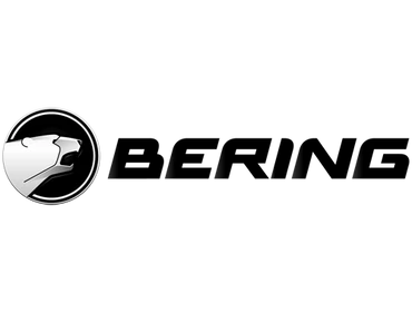 Bering